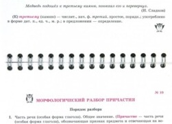 Каковы уровни и формы получения общего образования?