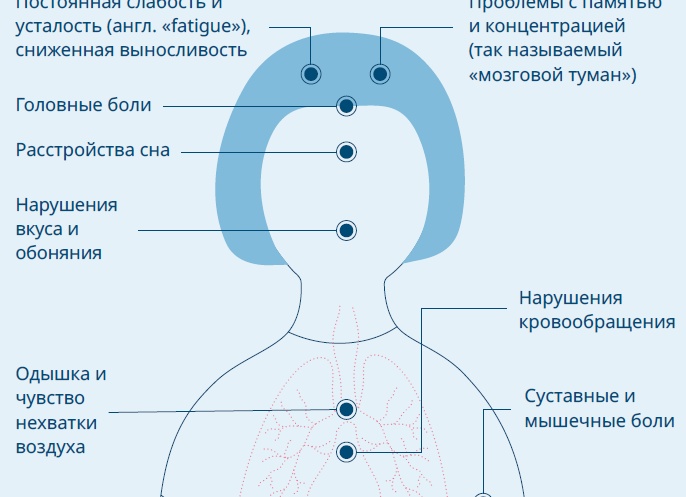 Минобрнауки введёт новые стандарты для медпрактики студентов к 2026